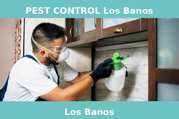 PEST CONTROL Los Banos